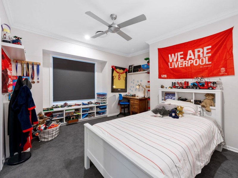 17 Eucalypt Street, Wakerley QLD 4154