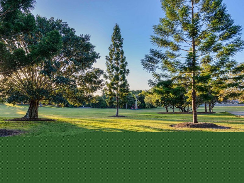 17 Eucalypt Street, Wakerley QLD 4154