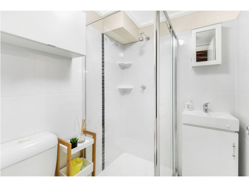 87 Tantani Street, Manly West QLD 4179