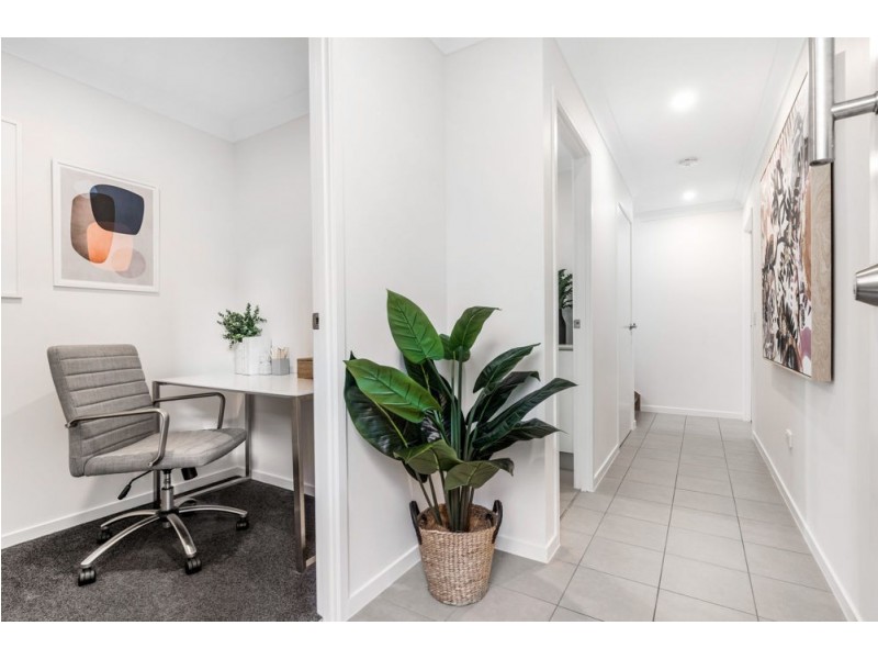 20/15 Oasis Close, Manly West QLD 4179