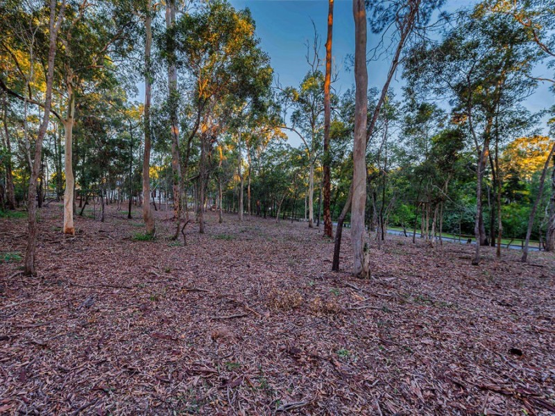 17 Wattle Place, Gumdale QLD 4154