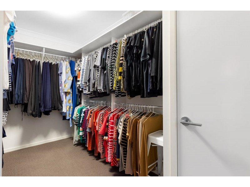 10 Radunz Place, Birkdale QLD 4159