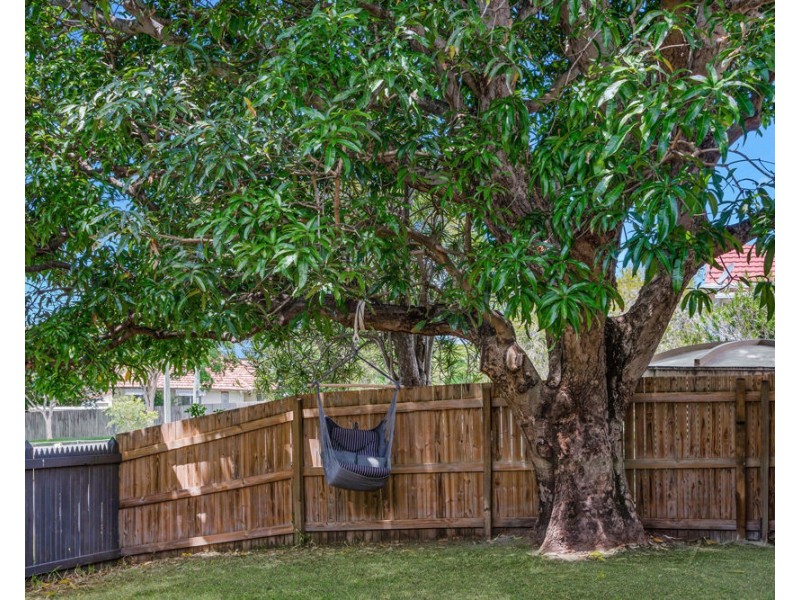 38 Joffre Street, Wynnum QLD 4178