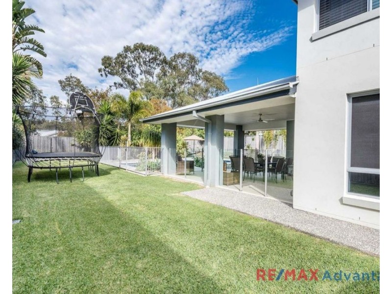 17 Brush Box Place, Wakerley QLD 4154