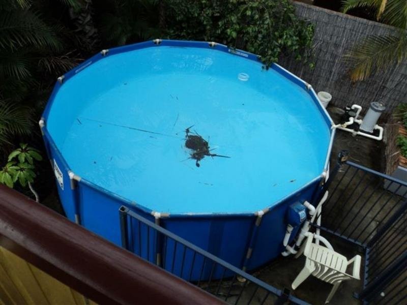 15 Rosedene Street, Manly West QLD 4179