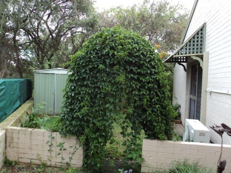 10/10 Preston Road, Manly QLD 4179