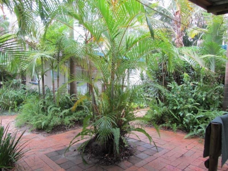 13 Toompany St, Amity QLD 4183