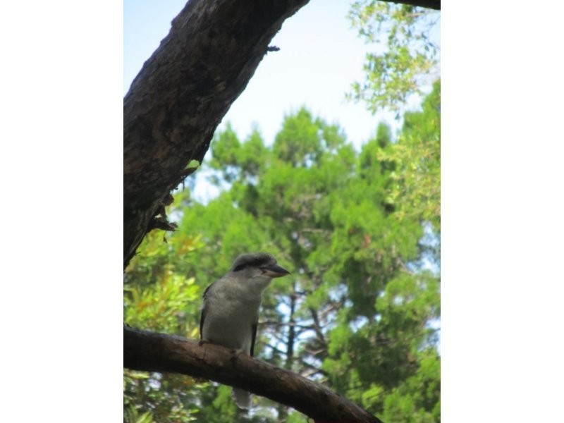 13 Toompany St, Amity QLD 4183