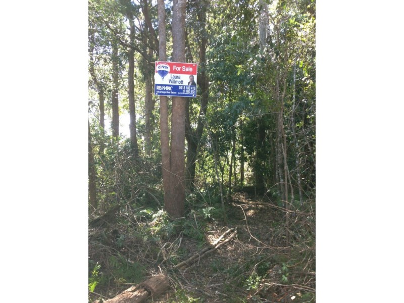 11 Mimosa Road, Springbrook QLD 4213