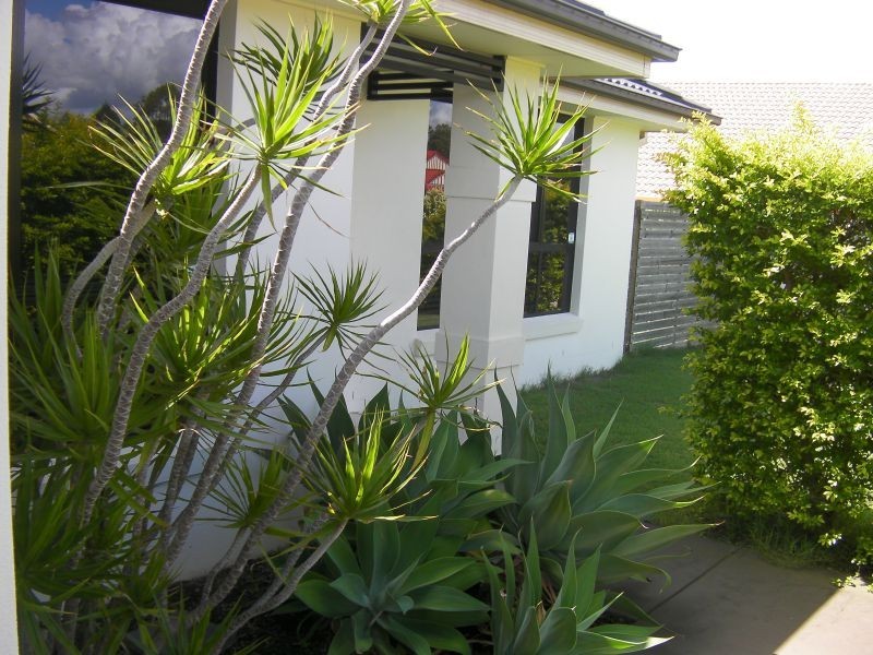 39 Bounty Street, Springfield Lakes QLD 4300