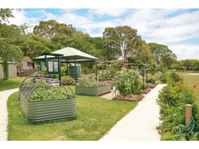 40 Daniel Street, Lota QLD 4179