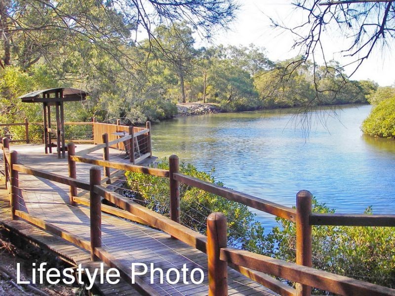 161 Chelsea Road, Ransome QLD 4154