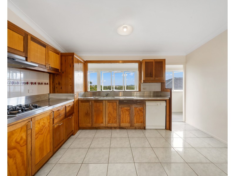 69 Pikeson Street, Everton Park QLD 4053