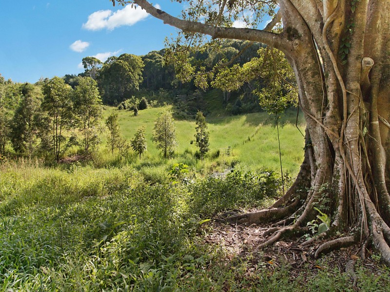 1030 Currumbin Creek Road, Currumbin Valley QLD 4223