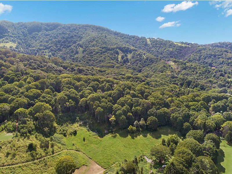 1030 Currumbin Creek Road, Currumbin Valley QLD 4223