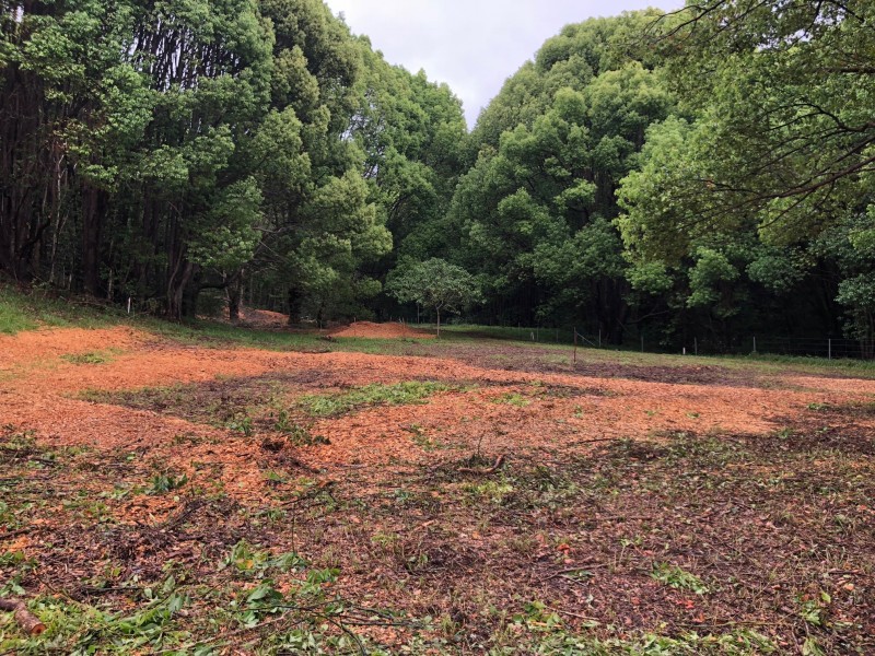 1030 Currumbin Creek Road, Currumbin Valley QLD 4223