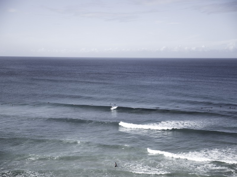 501/85 Golden Four Drive, Bilinga QLD 4225