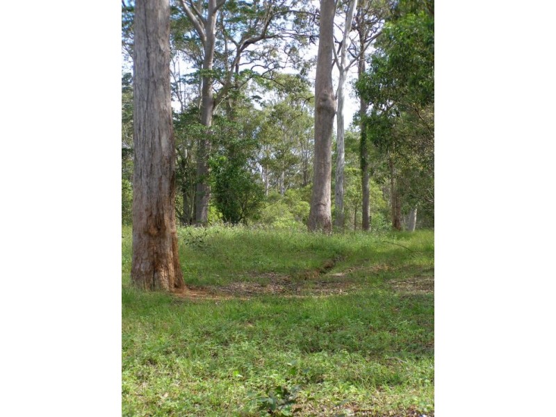 Upper Caboolture QLD 4510