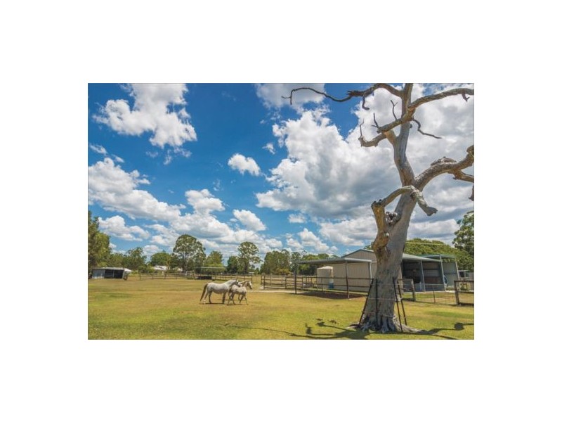 42 Cockatoo Court, Caboolture QLD 4510