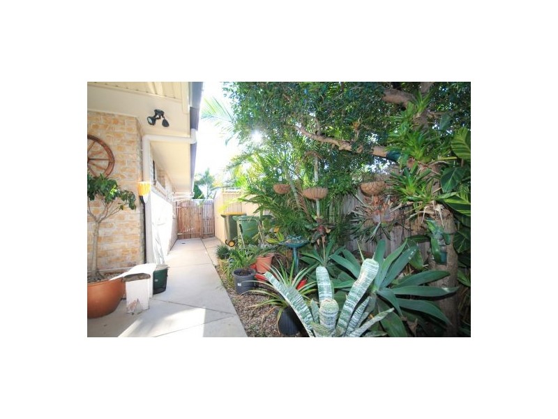 8 Woodrose Road, Morayfield QLD 4506