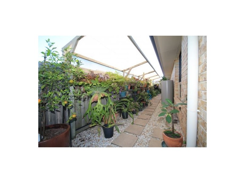 8 Woodrose Road, Morayfield QLD 4506