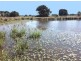 207 Brand Road, Wooroonden QLD 4605