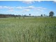 207 Brand Road, Wooroonden QLD 4605