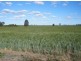 207 Brand Road, Wooroonden QLD 4605
