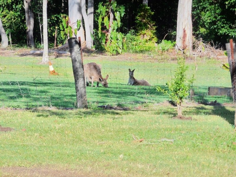 21-23 Bade Crescent, Elimbah QLD 4516