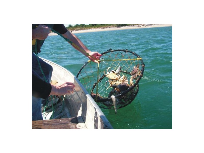 13-15 Calume Court, Caboolture QLD 4510