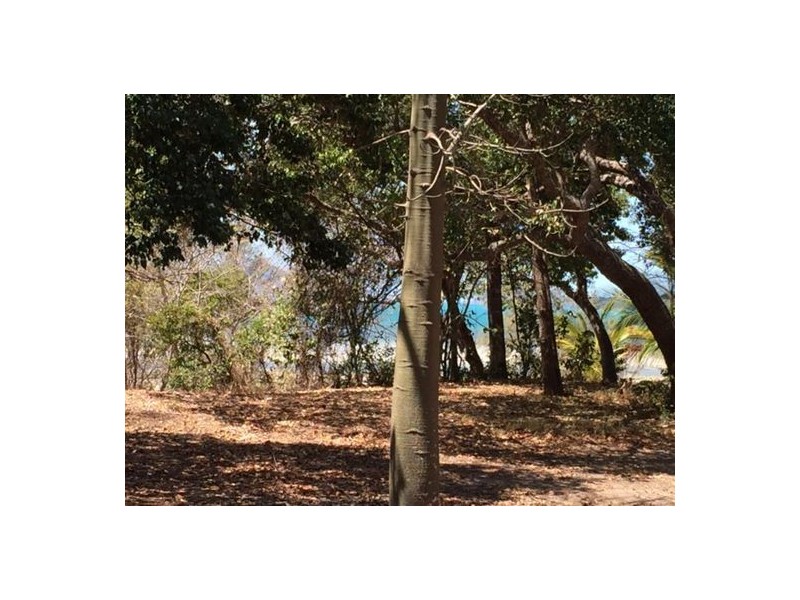 70 Gloucester Avenue, Hideaway Bay QLD 4800