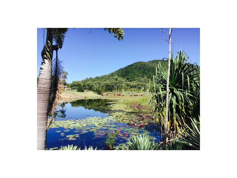 9 Lawson Street, Midge Point QLD 4799