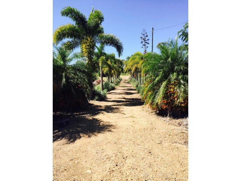 9 Lawson Street, Midge Point QLD 4799