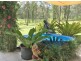 139 Chappel Road, Delaneys Creek QLD 4514
