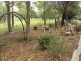 139 Chappel Road, Delaneys Creek QLD 4514