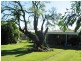 3 Nielsen Parade, Midge Point QLD 4799