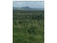 Lot 8 Midge Point Road, Midge Point QLD 4799