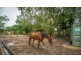 44 LOGRUNNER DRIVE, Upper Caboolture QLD 4510
