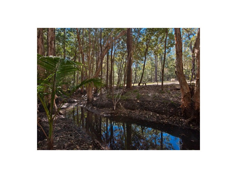 19 Langer Street, Woodford QLD 4514