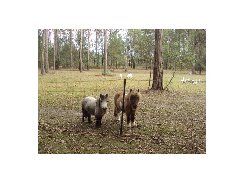 19 Langer Street, Woodford QLD 4514