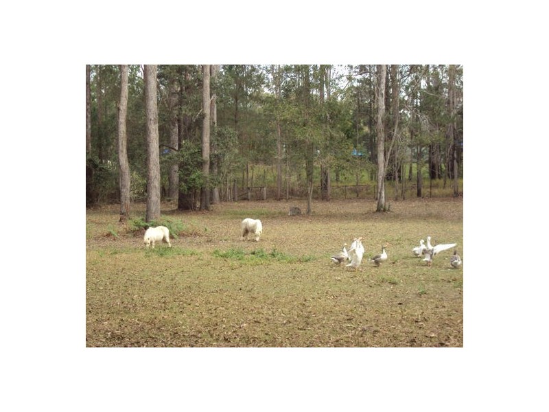 19 Langer Street, Woodford QLD 4514