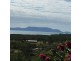 1323 Midge Point Road, Midge Point QLD 4799