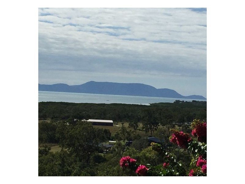 1323 Midge Point Road, Midge Point QLD 4799