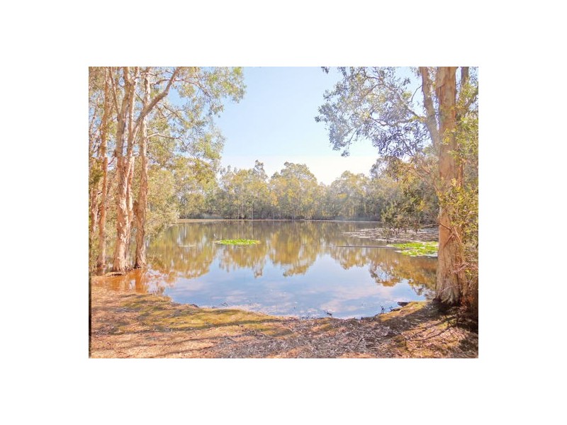 74 Alcock Road, Elimbah QLD 4516