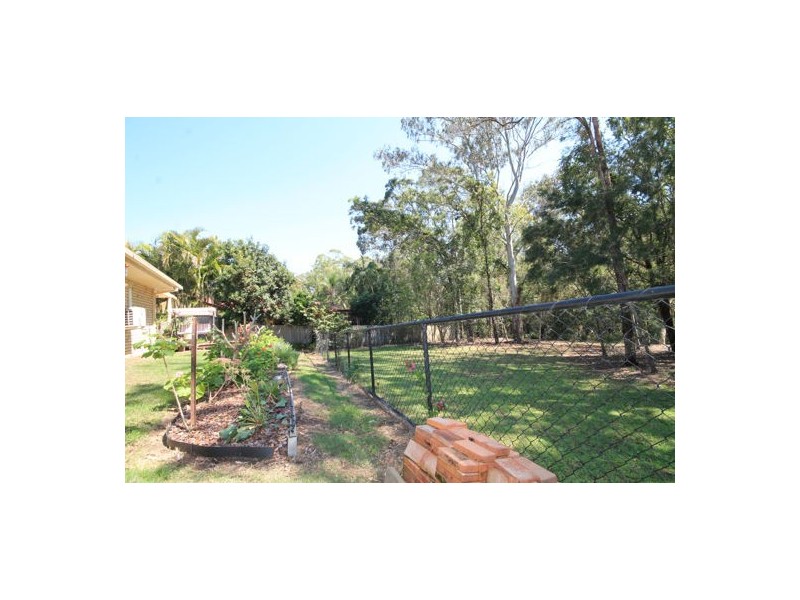 15 Brigalow Court, Morayfield QLD 4506