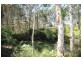 35 Kelmor Court, Elimbah QLD 4516