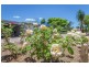 20 Bernborough Way, Ningi QLD 4511