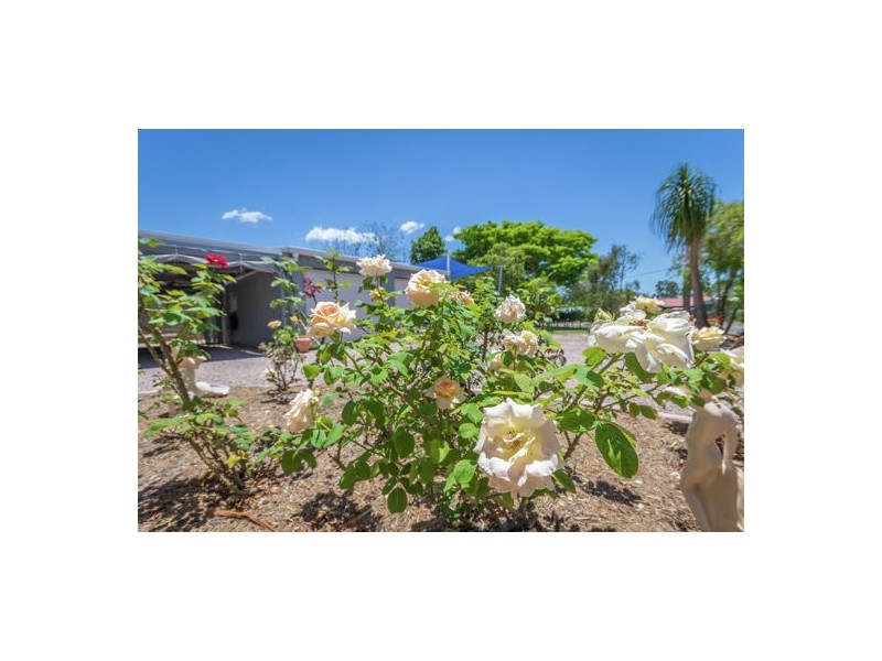 20 Bernborough Way, Ningi QLD 4511