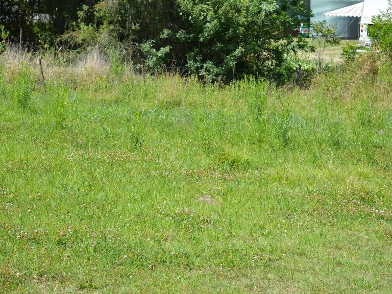 51B William Street, Kilcoy QLD 4515