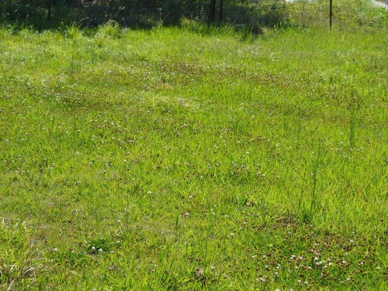 51B William Street, Kilcoy QLD 4515